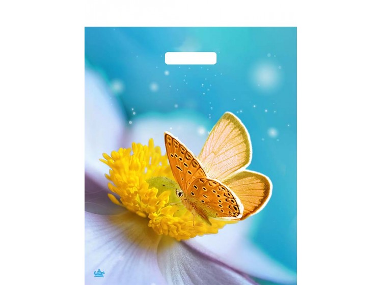 Мешок ПВД (выр.руч) 450*380 (60мкр) Мгновения